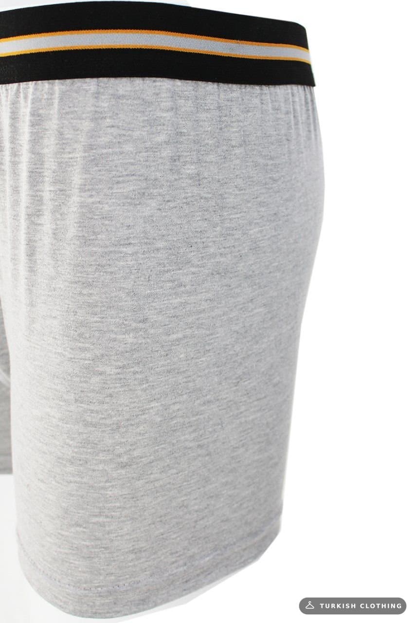 Men's Gray Boxer – back view, wholesale Lingerie & Underwear from Türkiye