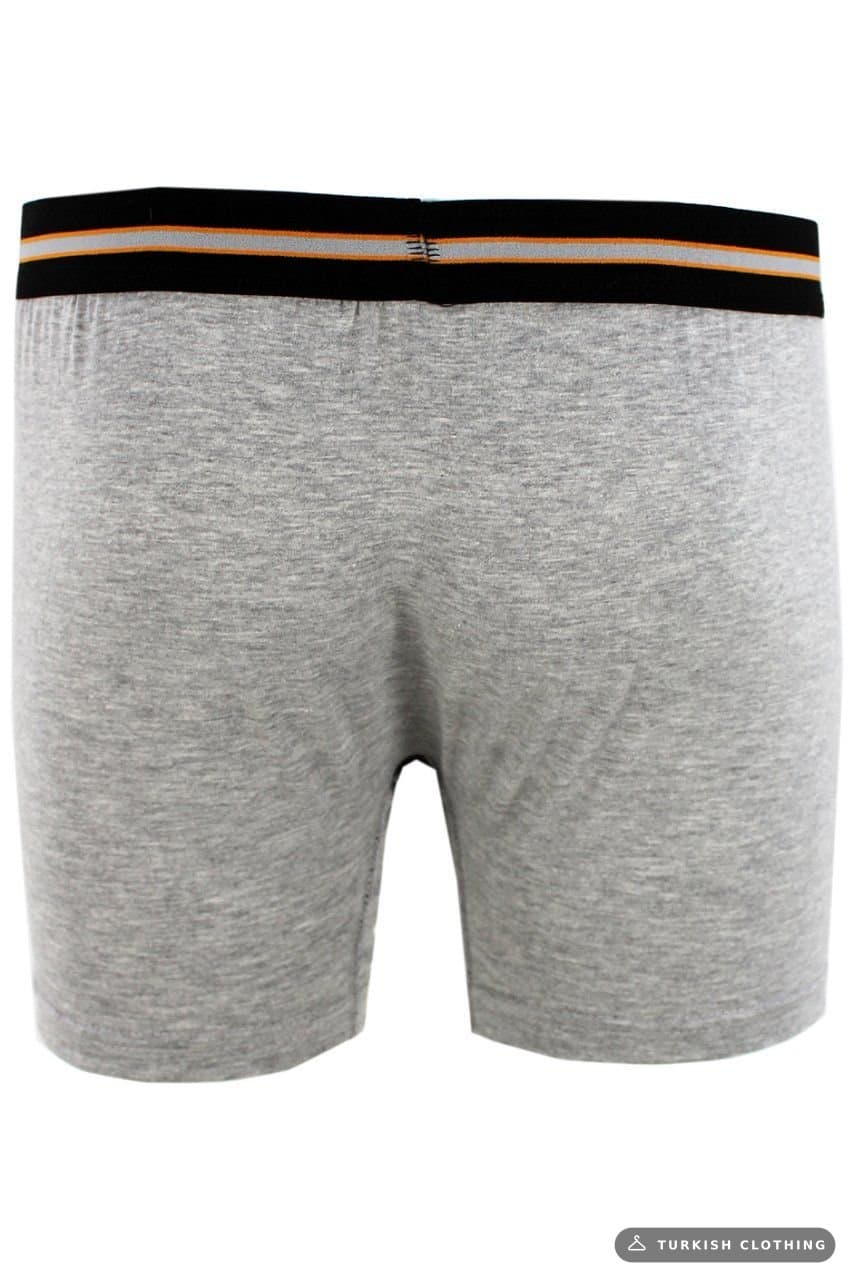 Men's Gray Boxer – fabric detail, wholesale Lingerie & Underwear from Türkiye